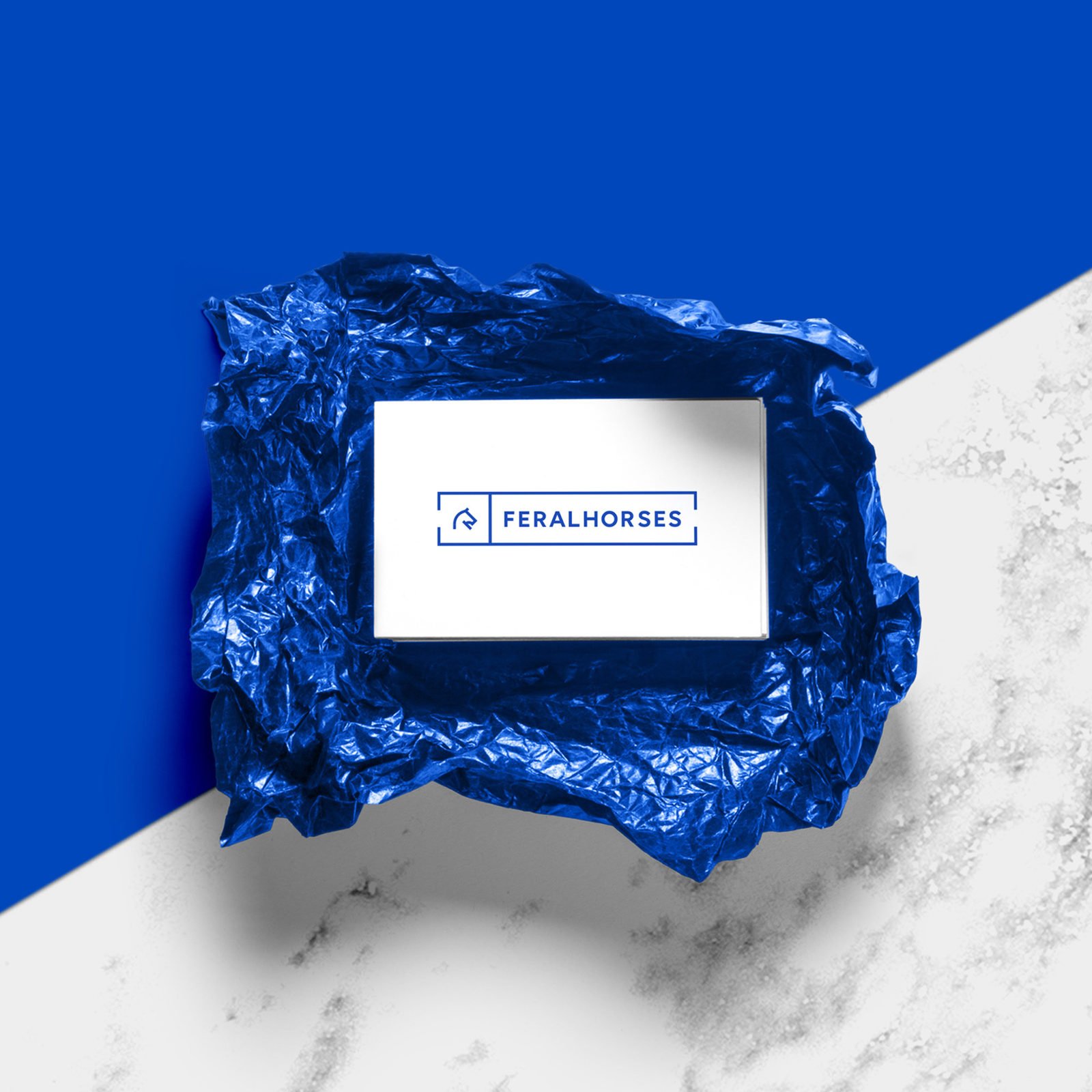 Logo FeralHorses Startup - Scopri come accelerare il successo della tua realtà con un Branding per startup su misura. Innovazione e qualità per distinguerti nel mercato.