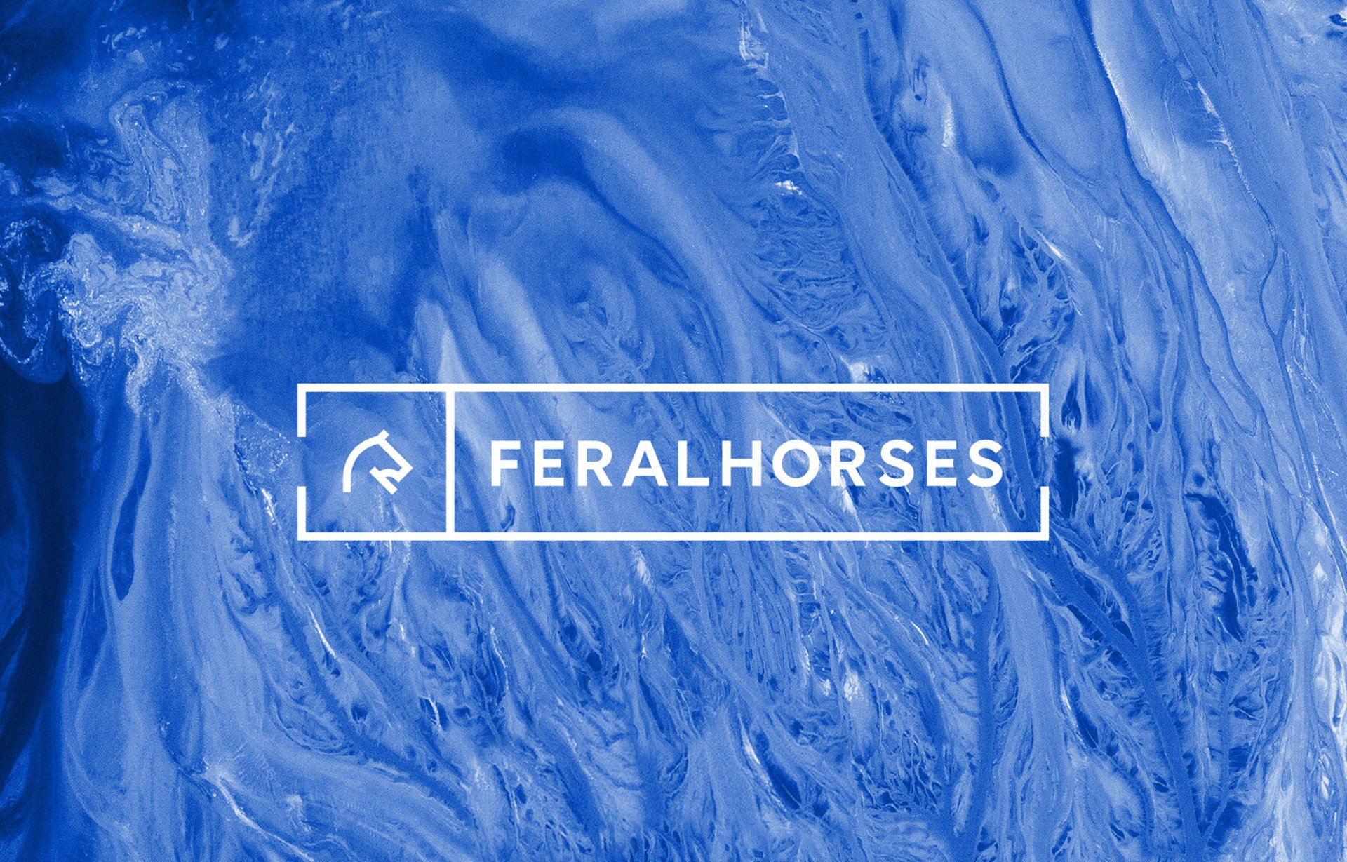 FERALHORSES