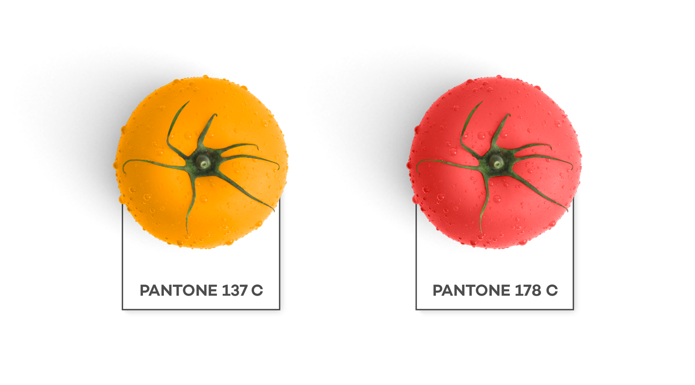IGPizza Colori