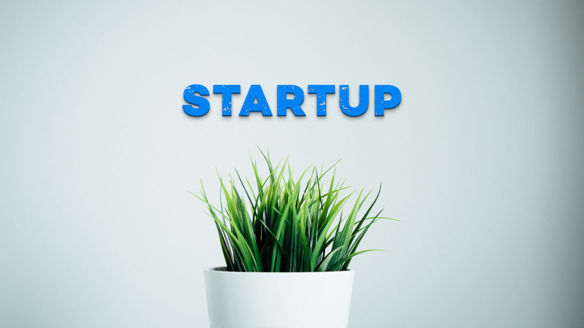 Branding for Startups