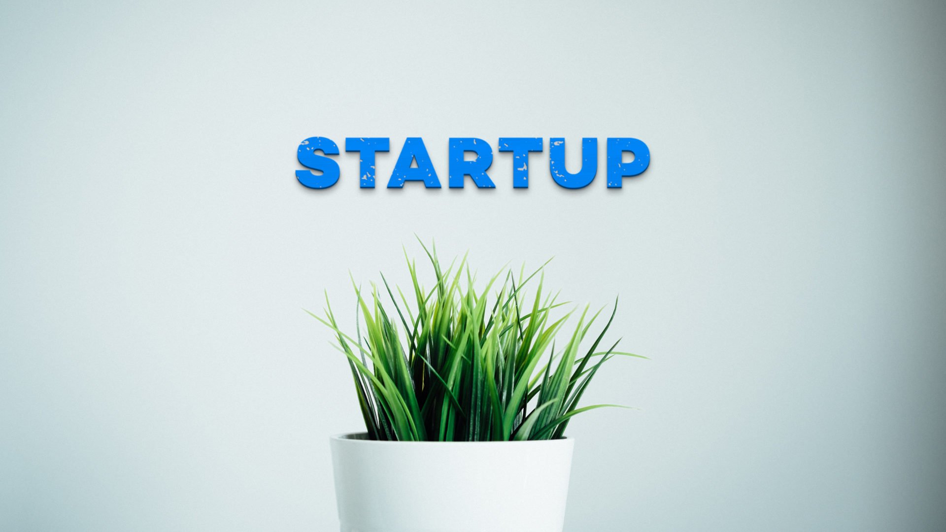 Branding per Startup: Investimento Essenziale per il Successo